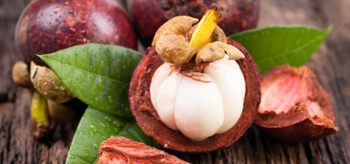 The Mighty Mangosteen